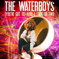 THE WATERBOYS