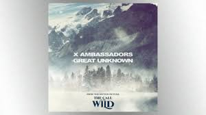 X AMBASSADORS