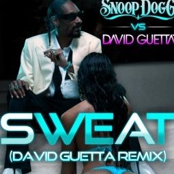 Snoop Dogg/D.Guetta
