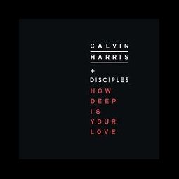 Calvin Harris & Disciples
