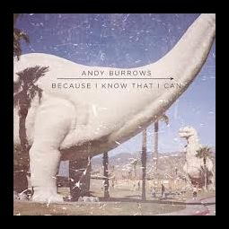 Andy Burrows