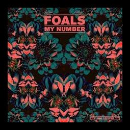 Foals