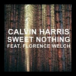 Calvin Harris & Florence Welch