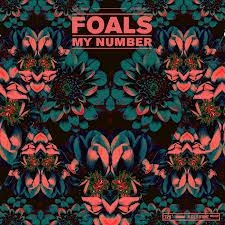 FOALS