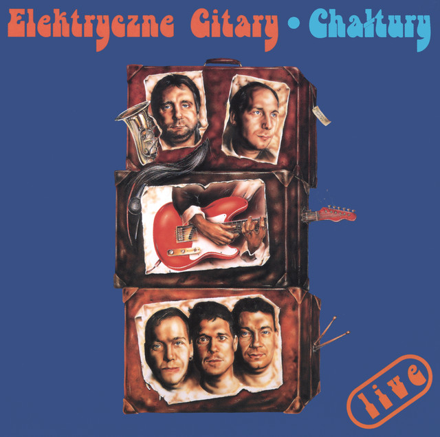 ELEKTRYCZNE GITARY