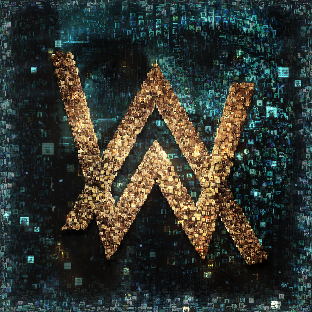 ALAN WALKER & BENJAMIN INGROSSO