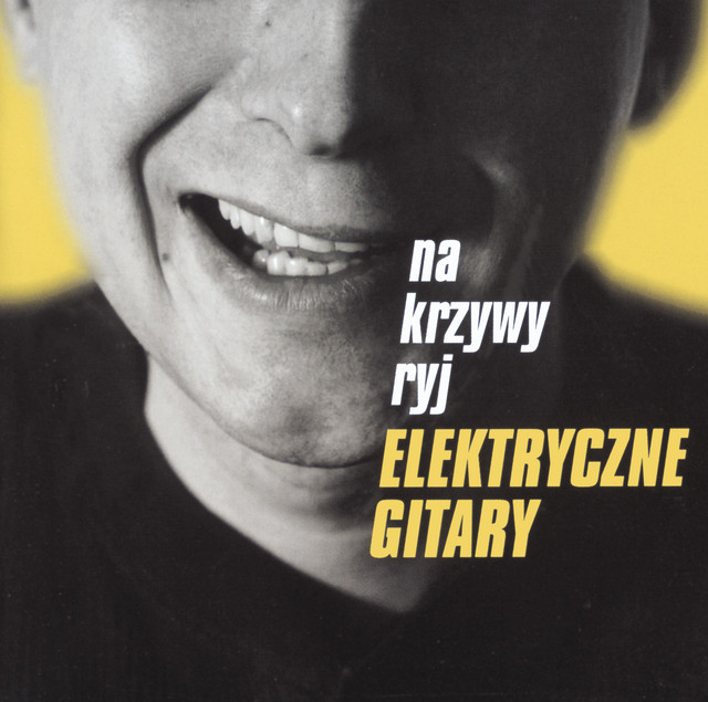 ELEKTRYCZNE GITARY