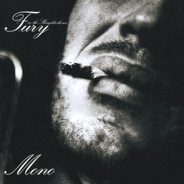 FURY IN THE SLAUGHTERHOUSE