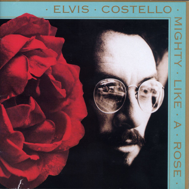 ELVIS COSTELLO