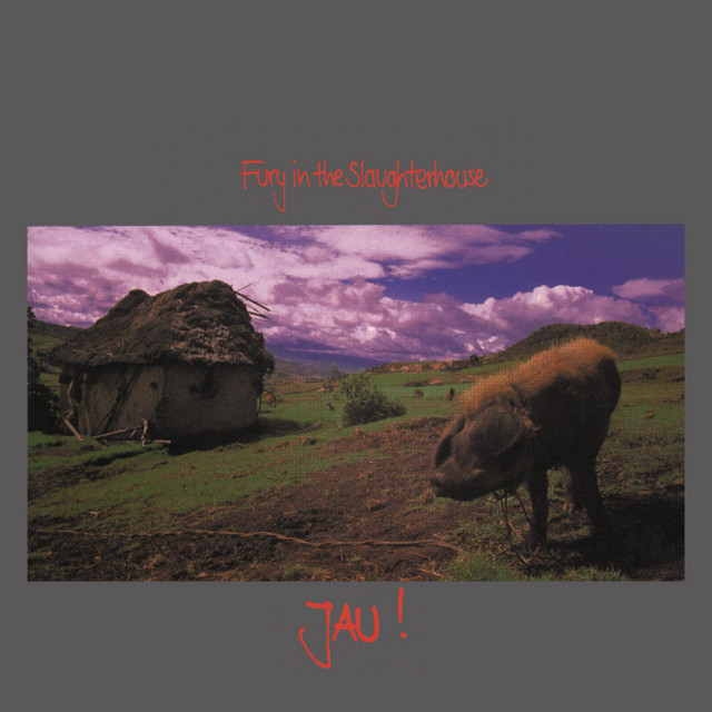 FURY IN THE SLAUGHTERHOUSE